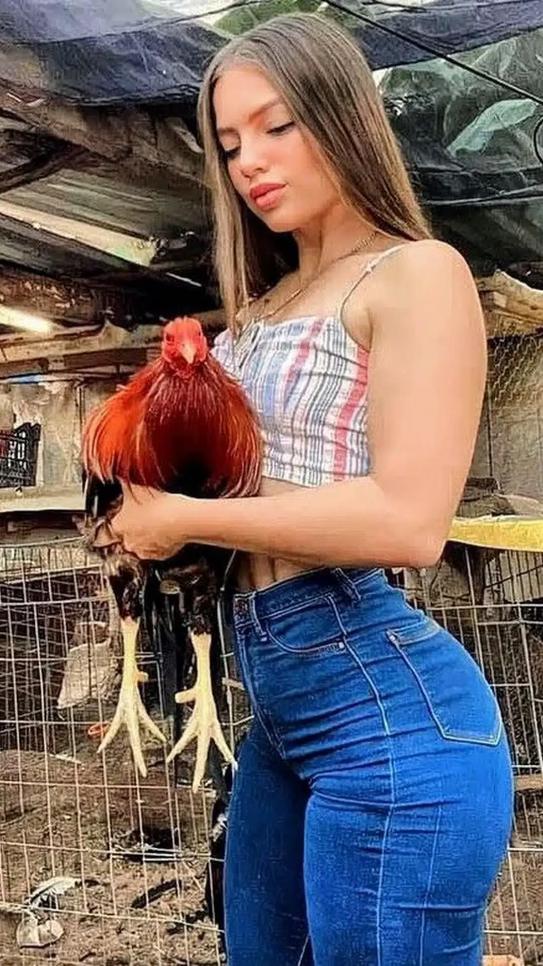 Ankara escort makalesi için kütüphane görseli 17, esc kutuphane